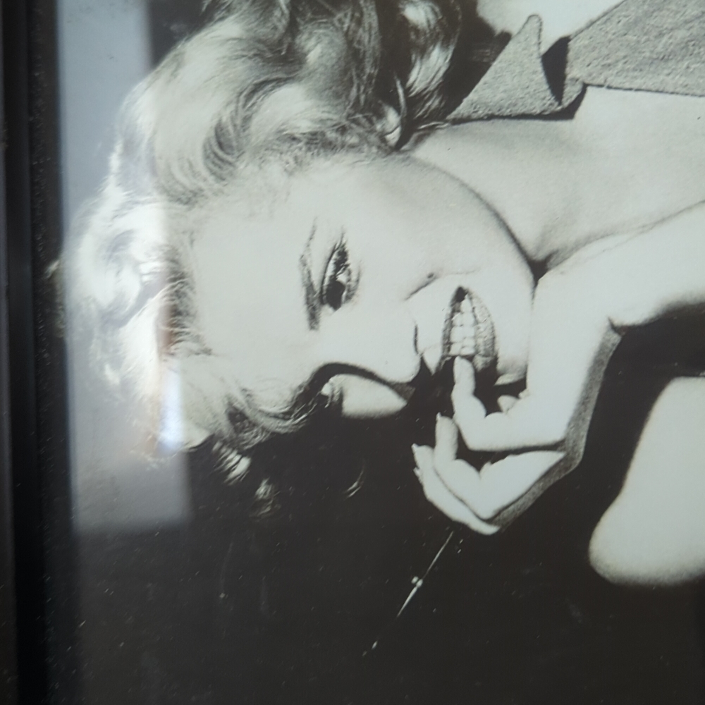 Marilyn Monroe photo (8 X 10) B/W - Picture 2 of 5